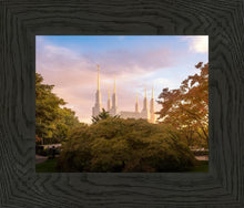 Load image into Gallery viewer, Washington DC Sunset Panorama
