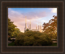 Load image into Gallery viewer, Washington DC Sunset Panorama
