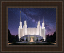 Load image into Gallery viewer, Washington DC Celestial
