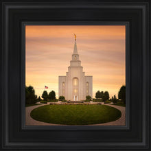 Load image into Gallery viewer, Kansas City Golden
