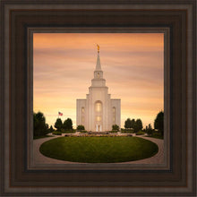 Load image into Gallery viewer, Kansas City Golden
