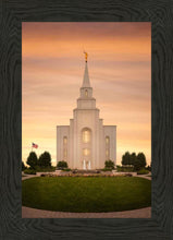 Load image into Gallery viewer, Kansas City Golden
