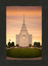 Load image into Gallery viewer, Kansas City Golden
