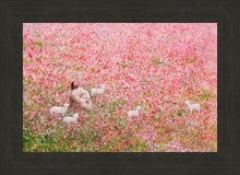 Load image into Gallery viewer, Shepherd's Rest
