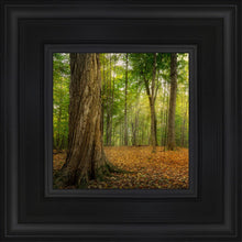 Load image into Gallery viewer, Oh How Lovely was the Morning

