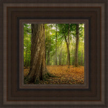 Load image into Gallery viewer, Oh How Lovely was the Morning
