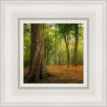 Load image into Gallery viewer, Oh How Lovely was the Morning
