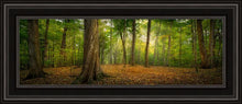 Load image into Gallery viewer, Oh How Lovely was the Morning

