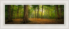 Load image into Gallery viewer, Oh How Lovely was the Morning
