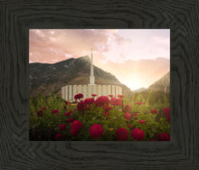 Load image into Gallery viewer, Provo Second Coming
