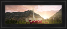 Load image into Gallery viewer, Provo Second Coming
