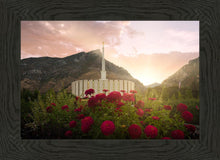 Load image into Gallery viewer, Provo Second Coming
