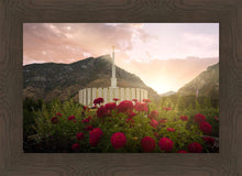 Load image into Gallery viewer, Provo Second Coming
