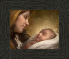Load image into Gallery viewer, A Son is Given

