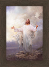 Load image into Gallery viewer, For This Purpose

