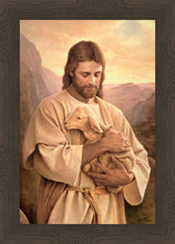 Load image into Gallery viewer, Lost Lamb
