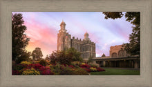 Load image into Gallery viewer, Logan Dawning of a New Day
