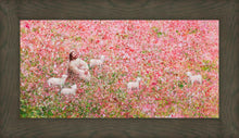 Load image into Gallery viewer, Shepherd's Rest
