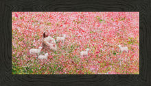Load image into Gallery viewer, Shepherd's Rest

