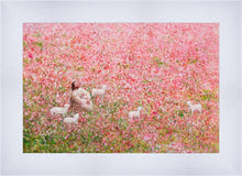 Load image into Gallery viewer, Shepherd's Rest
