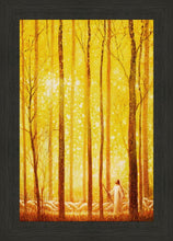 Load image into Gallery viewer, Awesome Wonder
