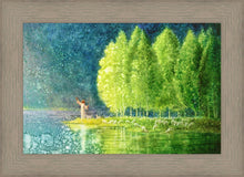 Load image into Gallery viewer, Beside Still Waters
