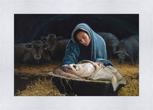 Load image into Gallery viewer, The Young Messiah
