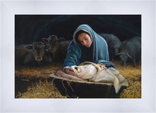 Load image into Gallery viewer, The Young Messiah
