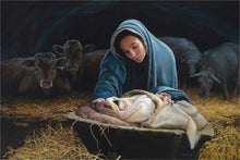 Load image into Gallery viewer, The Young Messiah
