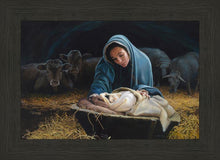Load image into Gallery viewer, The Young Messiah
