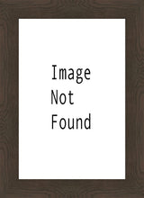 Load image into Gallery viewer, In His Glory
