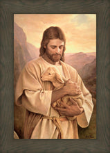 Load image into Gallery viewer, Lost Lamb
