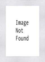 Load image into Gallery viewer, Lost Lamb Original Color
