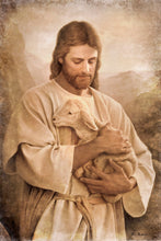 Load image into Gallery viewer, Lost Lamb Vintage
