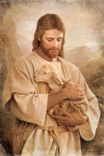 Load image into Gallery viewer, Lost Lamb Vintage

