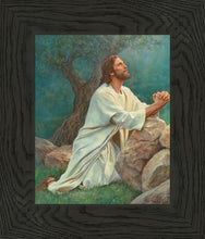 Load image into Gallery viewer, Prayer at Gethsemane
