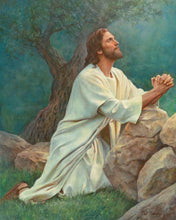 Load image into Gallery viewer, Prayer at Gethsemane
