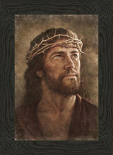 Load image into Gallery viewer, Thy Will Be Done
