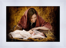 Load image into Gallery viewer, A Mother's Love

