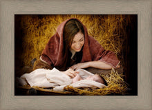 Load image into Gallery viewer, A Mother's Love
