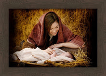 Load image into Gallery viewer, A Mother's Love
