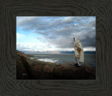 Load image into Gallery viewer, Alone Shepherd
