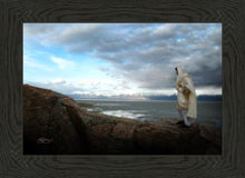 Load image into Gallery viewer, Alone Shepherd
