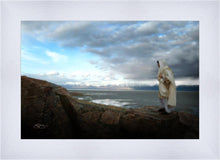 Load image into Gallery viewer, Alone Shepherd

