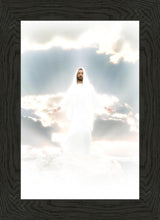 Load image into Gallery viewer, Behold
