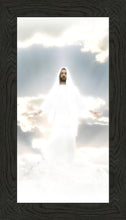 Load image into Gallery viewer, Behold
