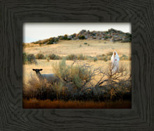 Load image into Gallery viewer, In Search of the One
