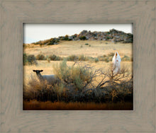 Load image into Gallery viewer, In Search of the One
