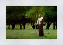 Load image into Gallery viewer, Lord Of The Vineyard
