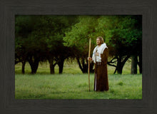 Load image into Gallery viewer, Lord Of The Vineyard

